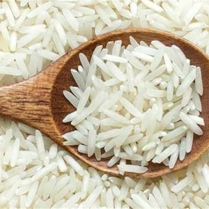 برنج شیرودی
