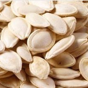 تخمه کدو گوشتی